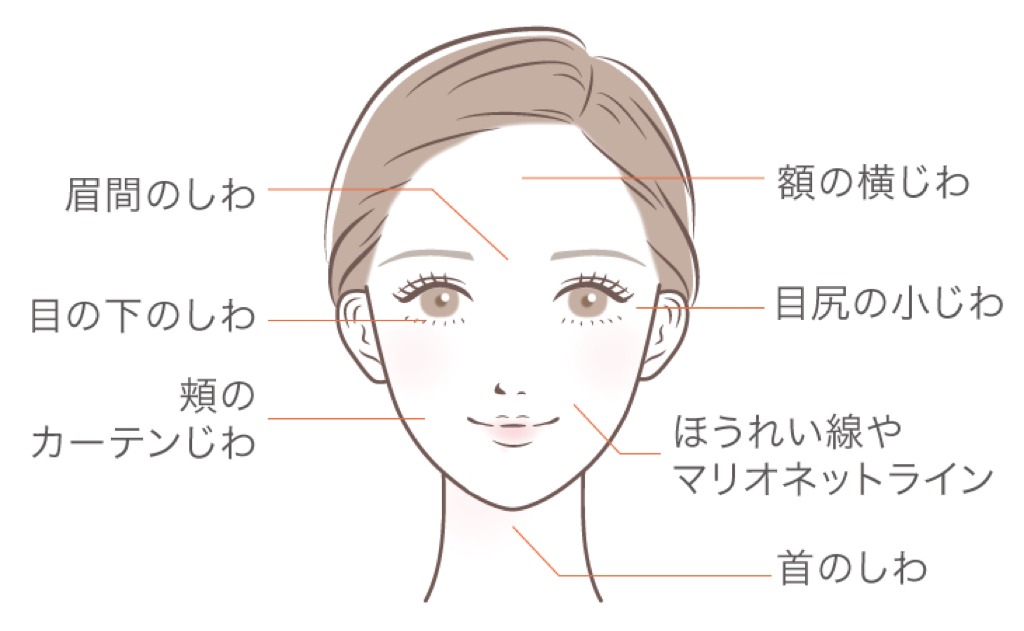 効果的な部位